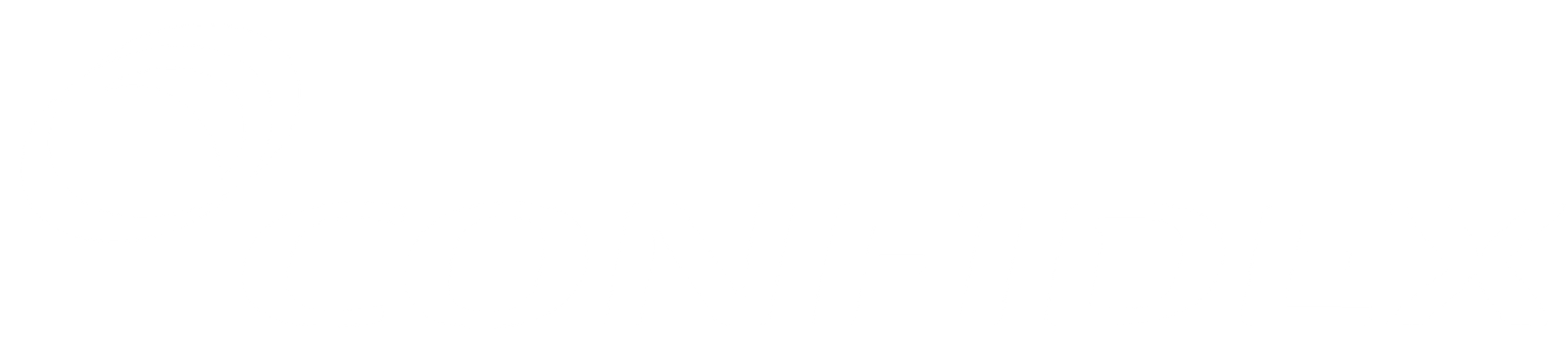 Confidex